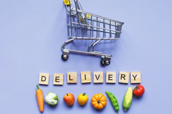 Organic vegetables home delivery system in India